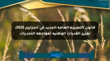 قانون التعبئة العامة الجديد في الجزائر 2025: تعزيز القدرات الوطنية لمواجهة التحديات